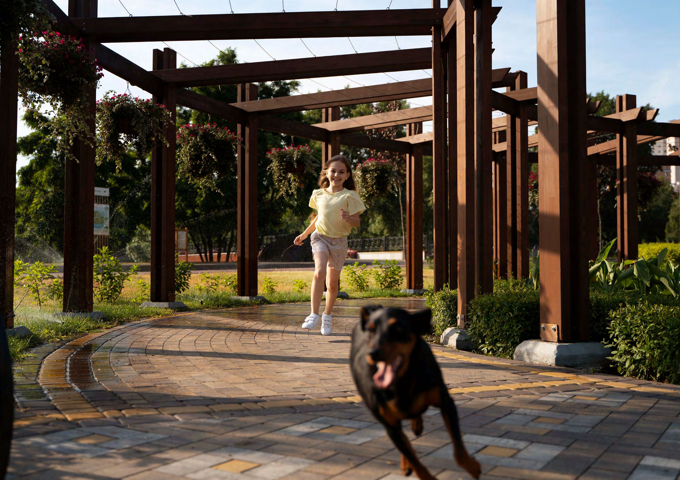 Amenidad Pet park